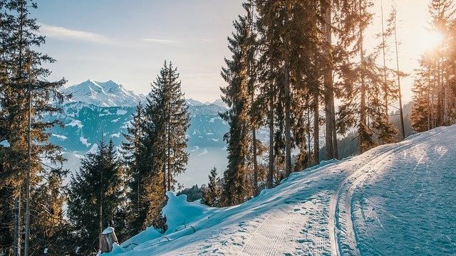 Snow And Skiing  – The Colossal, Agreeable Wide Paradise In 2022